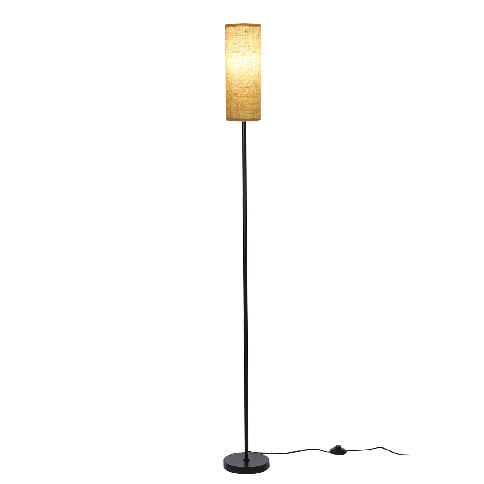 Modern Floor Lamp
